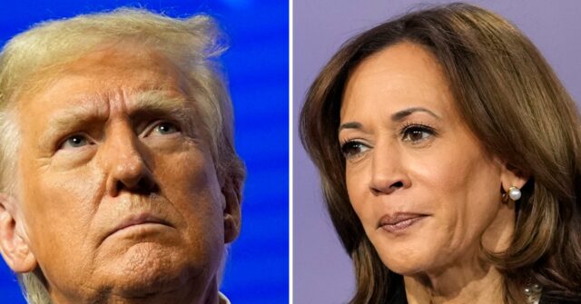 Report: Democrats Despair as Harris's Economic Message Ignored by Voters Looking to Trump