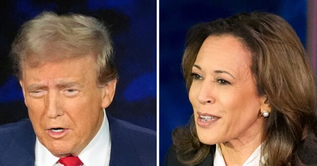 Donald Trump Rejects Presidential Debate 'Rematch' with Kamala Harris