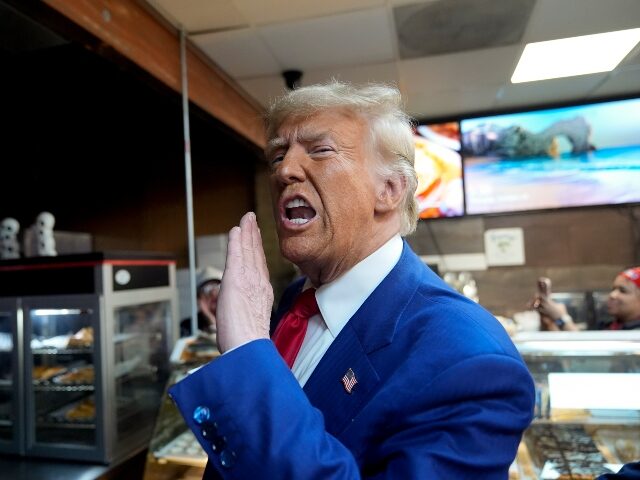 Republican presidential nominee former President Donald Trump gestures to supporters durin