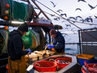 Brexit Betrayal: E.U. to Demand Fishing Rights for UK Waters