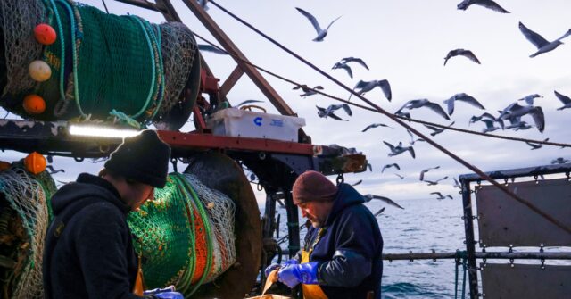 Brexit Betrayal: E.U. to Demand Fishing Rights for UK Waters