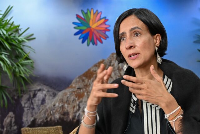 Colombia Environment Minister and COP16 president Susana Mohamad says more money is neede