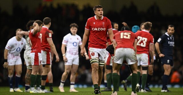 Dafydd Jenkins Ruled Out of Autumn Internationals