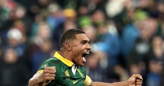 Injured Springbok Willemse to miss November Tests - Breitbart