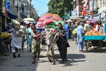 Donkey carts have long been essential for aftermarket transport from southern Karachi's wh