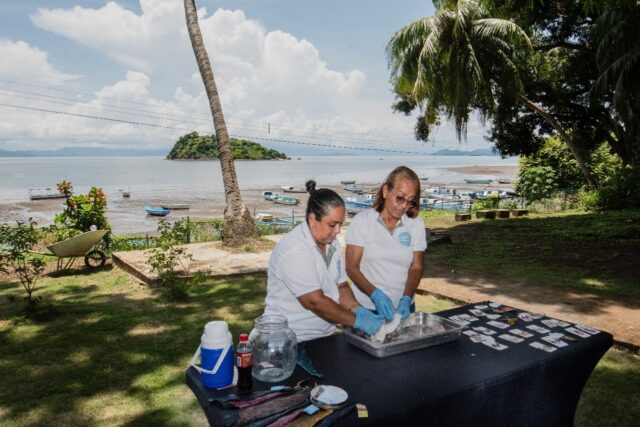 The all-female cooperative 'Piel Marina' (Marine Skin) turns fish skins into sustainable f