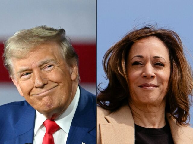 With just a month until the November 5 vote between Donald Trump and Kamala Harris, market