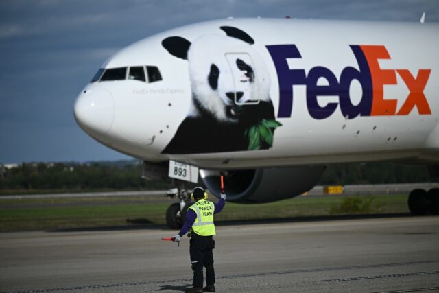 The pandas arrived at Dulles airport near Washington on a FedEx cargo jet dubbed the 'Pand