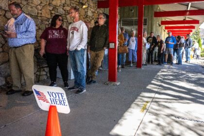 People line up for early voting at a polling station at the Black Mountain Public Library