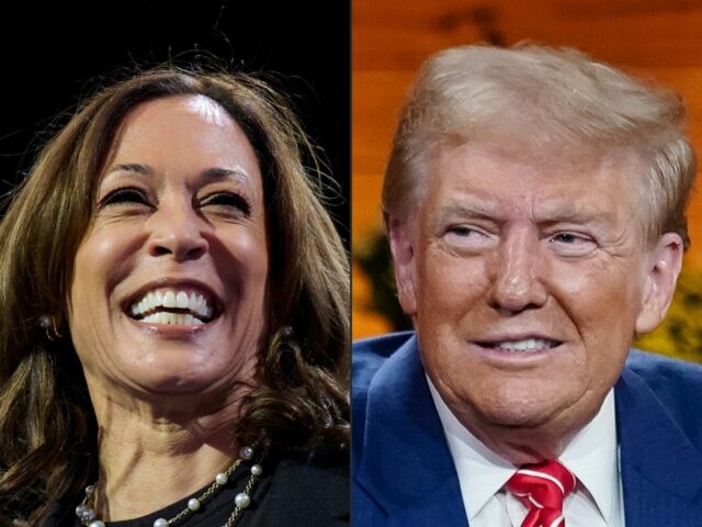 US election rivals Kamala Harris and Donald Trump are locked in an all-or-nothing battle o