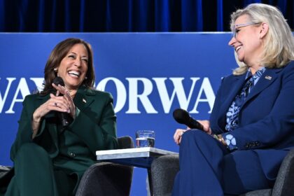 US Vice President and Democratic presidential candidate Kamala Harris (L) appeared alongsi