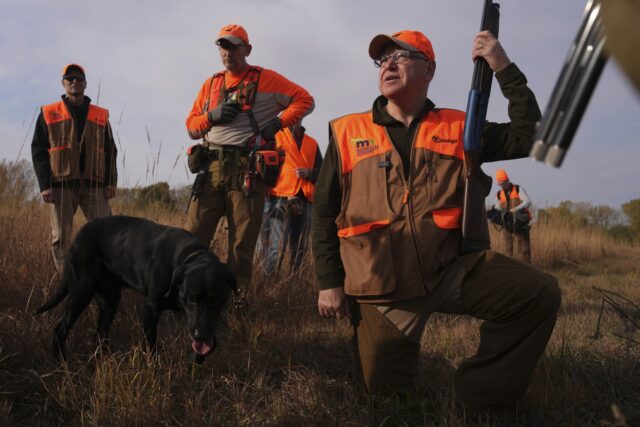 Tim Walz Hunting The Associated Press