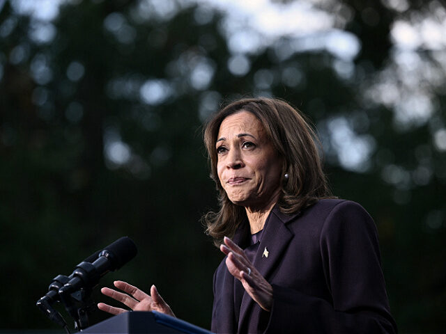 TOPSHOT - US Vice President Democratic presidential candidate Kamala Harris speaks at Howa