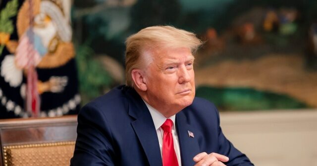 Businesses Employing Illegal Aliens Brace for Fierce Worksite Enforcement Under Second Trump Administration