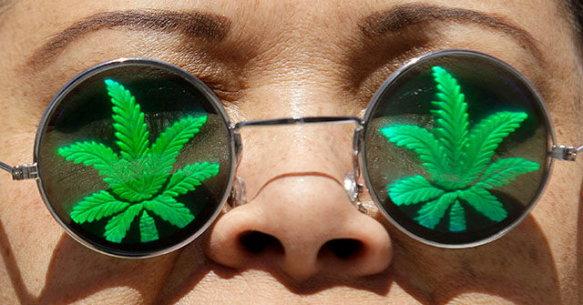Floridians Projected to Reject Legalization of Recreational Marijuana