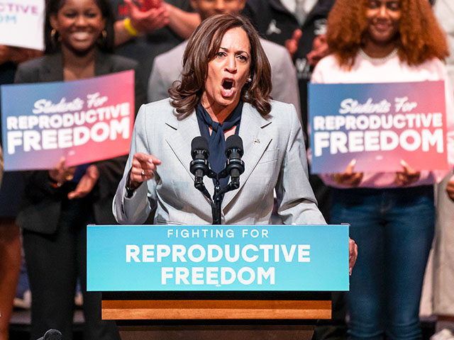 Democrats Complain ‘Voters Just Didn’t Care’ Enough About Abortion to Elect Kamala Harris