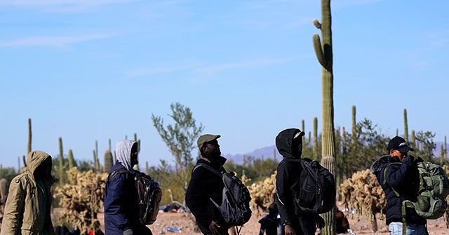 Poll: Majority Support Ending DEI Hirings in Government, Deporting Criminal Illegal Aliens