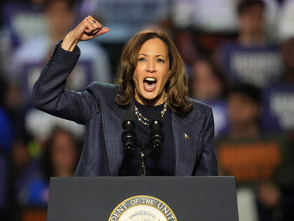 Democratic presidential nominee Vice President Kamala Harris speaks during a campaign rall