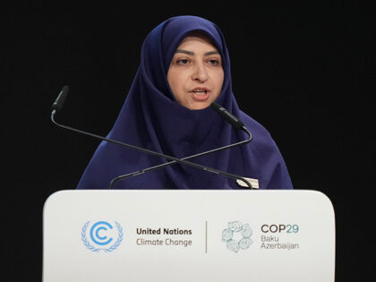 Iran Vice President Shina Ansari speaks during a plenary session at the COP29 U.N. Climate