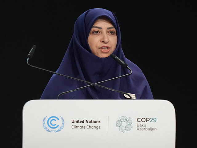 Iran Vice President Shina Ansari speaks during a plenary session at the COP29 U.N. Climate