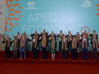 President Joe Biden stands in the back row, 2nd-right, with other APEC leaders as they pos