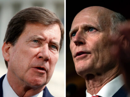 Bill Hagerty and Rick Scott Kevin Dietsch/Getty Images, Kent Nishimura/Getty Images