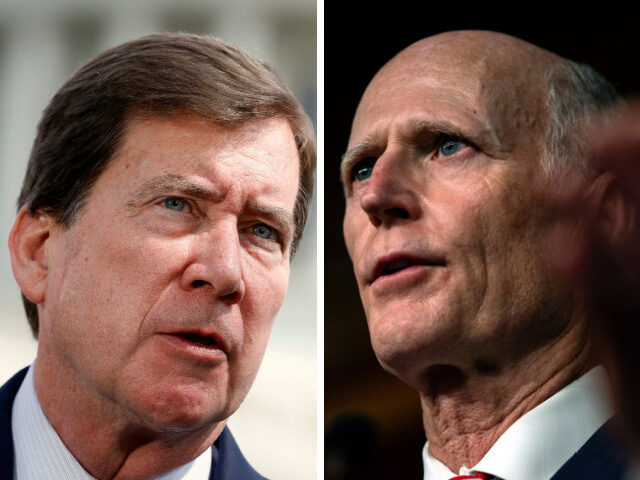 Bill Hagerty and Rick Scott Kevin Dietsch/Getty Images, Kent Nishimura/Getty Images