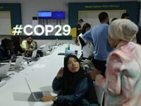 50,000+ Climate Doomers Jet to Cop29 Talks in Oil-Rich Azerbaijan