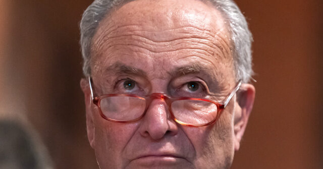 The Second Biggest Loser in 2024: Chuck Schumer