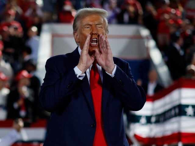 RALEIGH, NORTH CAROLINA - NOVEMBER 04: Republican presidential nominee, former President D