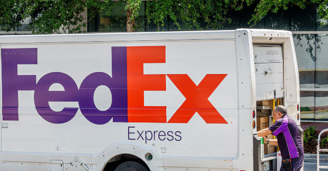 WATCH: Ohio Porch Pirate Assaults FedEx Driver to Steal Package