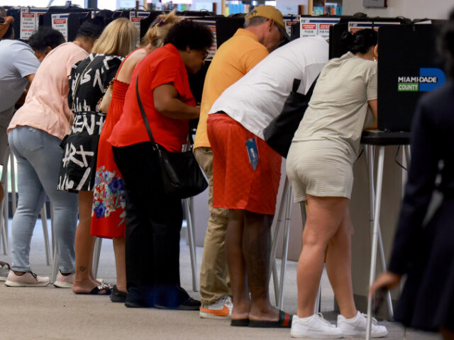 People fill out their ballots during the early voting period at the South Dade Regional Li