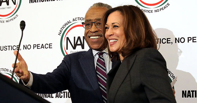 Harris Campaign Gave $500K to Al Sharpton's Org Before Their MSNBC Interview