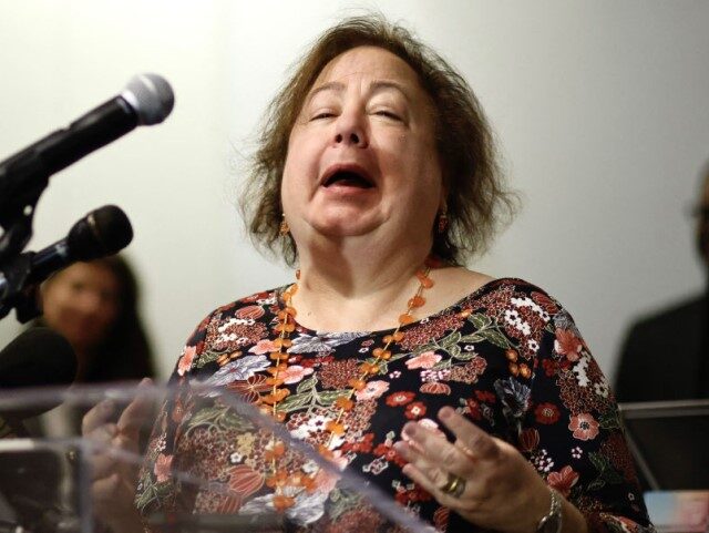 New York State Democratic Senator, Liz Krueger, speaks to members of the media at the open