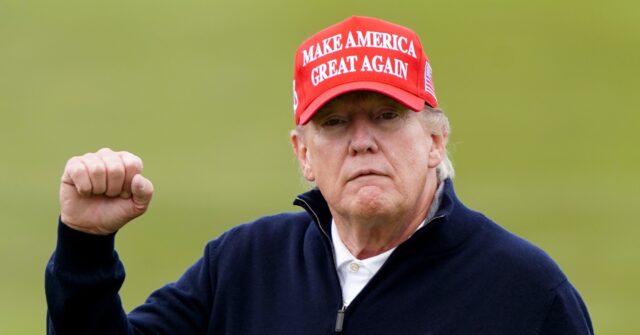 Half of Young Men in Britain Would Vote for Donald Trump, Survey Finds
