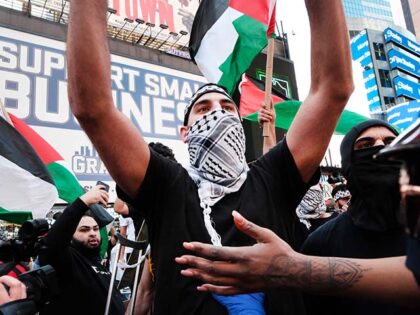 Pro Palestinian protesters face off with a group of Israel supporters and police in a viol