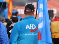 Over 100 German MPs Back Measure to Ban Anti-Mass Migration AfD Party to Protect ‘Democracy&#