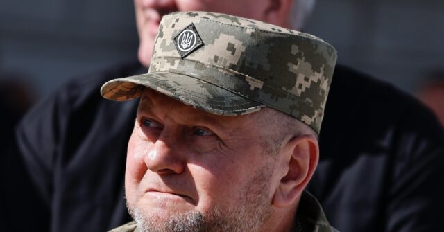 Former Ukrainian Commander-in-Chief Declares World War III 'Has Begun'