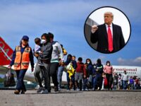 Donald Trump Vows Mass Deportations of Illegals On First Day of Second Term