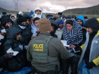 Poll Shows Growing Support for Migration Enforcement After Election