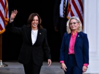 Election Data: Liz Cheney Hurt Kamala Harris with Swing Voters in Rust Belt