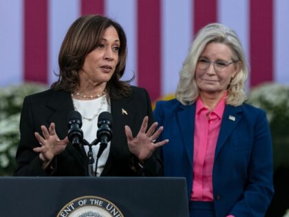 Vice President and Democratic Presidential nominee Kamala Harris speaks during a rally at