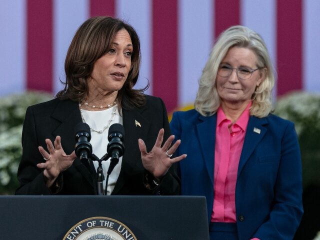 Vice President and Democratic Presidential nominee Kamala Harris speaks during a rally at