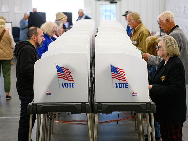 Voters make selections at their voting booths inside an early voting site on October 17, 2