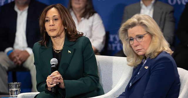 Retired Army Colonel: GWOT Vets Feel Extreme Resentment Toward Kamala Harris, Cheney, and Democrats