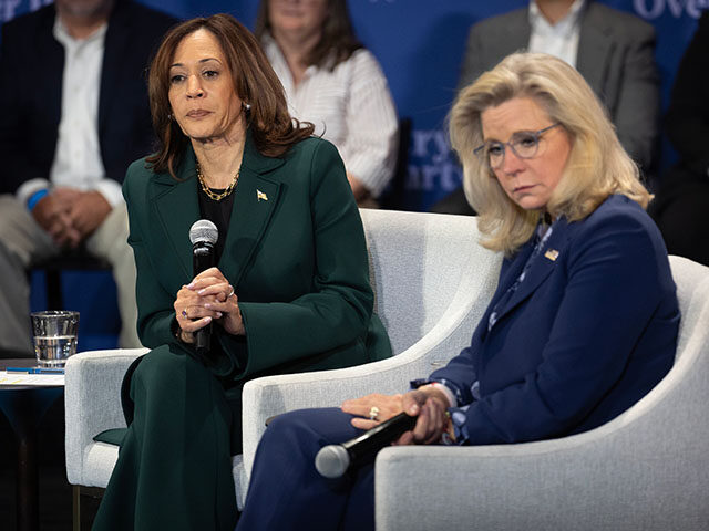 Retired Army Colonel: GWOT Vets Feel Extreme Resentment Toward Kamala Harris, Cheney, and Democrats