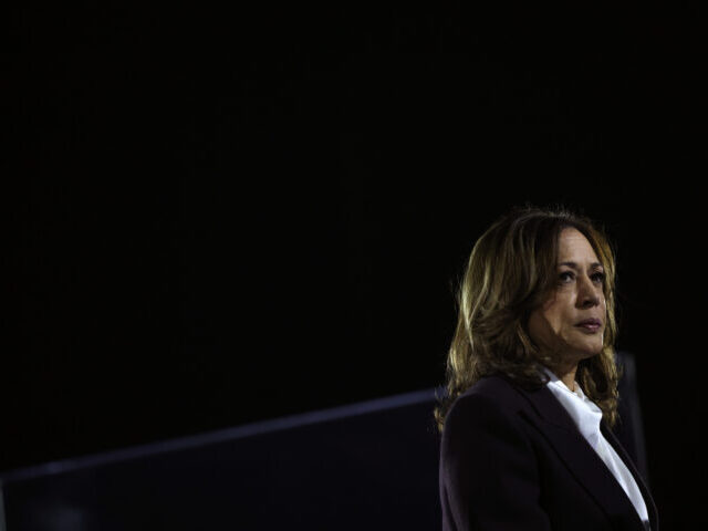 WASHINGTON, DC - OCTOBER 29: Democratic presidential nominee, U.S. Vice President Kamala H