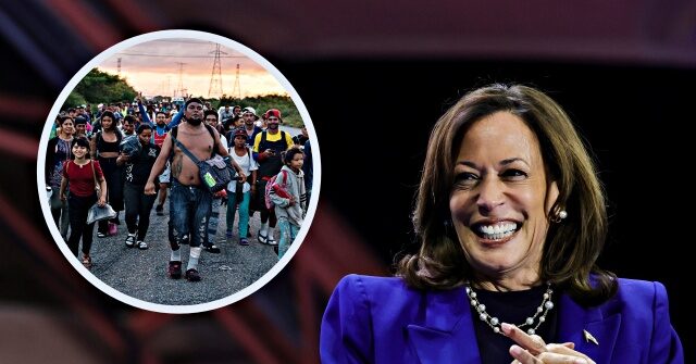 Kamala's Opportunity Economy: Foreign Workers Score Over 1 Million Jobs, Nearly 800K Americans Lose Jobs