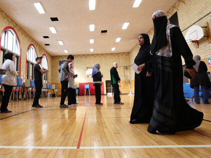 Voters wait in line to vote at the Lowrey School on November 5, 2024 in Dearborn, Michigan