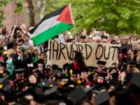 Peter Schweizer: Harvard Canceled Classes After Trump Won, but Not After the October 7 Hamas Massac